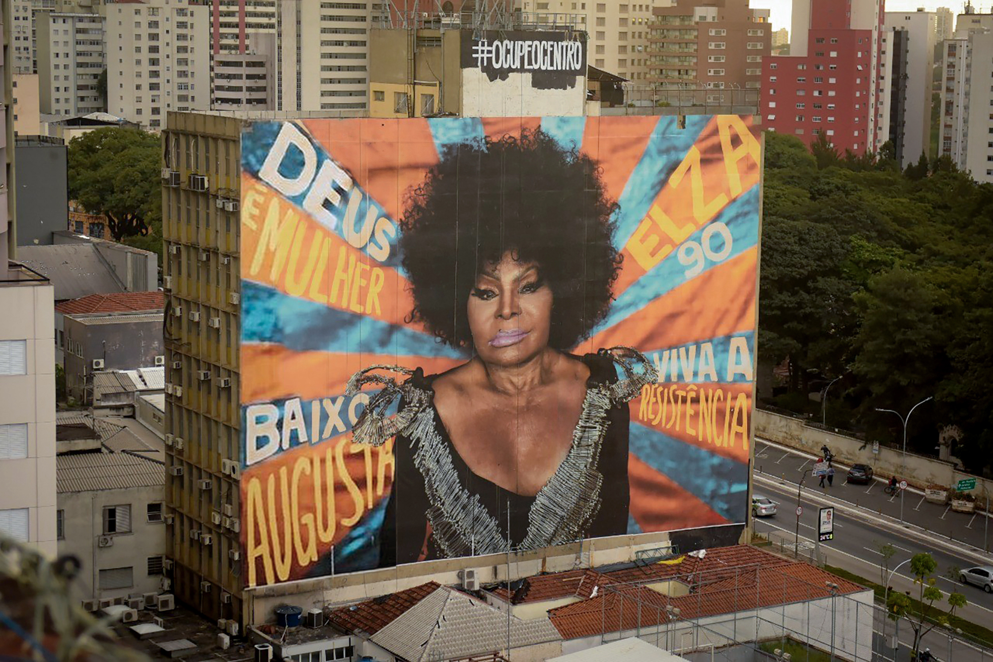 Painel em homenagem a Elza Soares, versão 2020.
