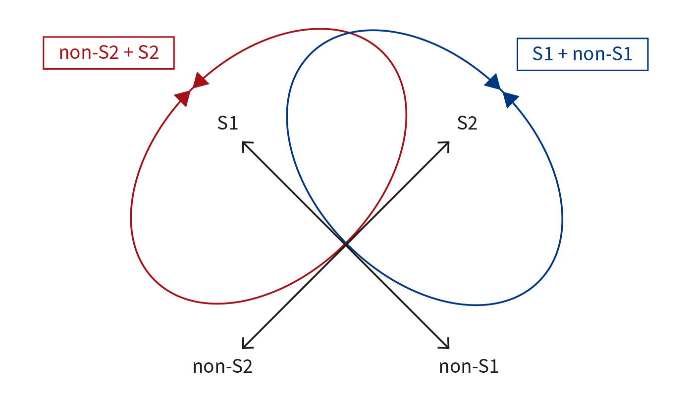 Diagram with red and blue loops around S1, S2, non-S2 and non-S1.